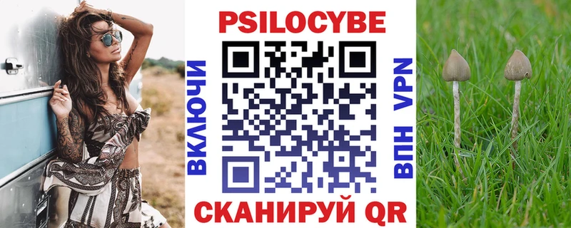 Купить где Шатура Псилоцибиновые грибы прущие грибы